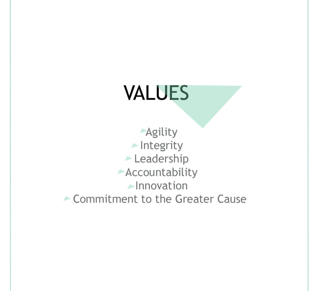 Tree Rock Capital values